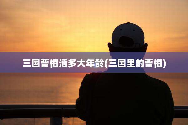 三国曹植活多大年龄(三国里的曹植)