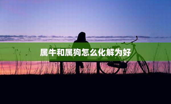 属牛和属狗怎么化解为好