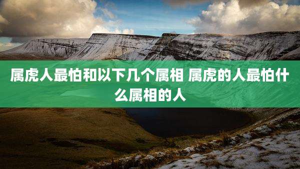 属虎人最怕和以下几个属相 属虎的人最怕什么属相的人