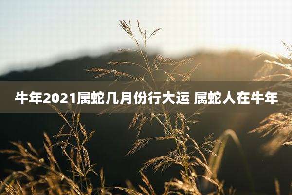 牛年2021属蛇几月份行大运 属蛇人在牛年