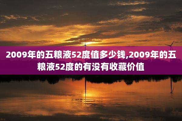 2009年的五粮液52度值多少钱,2009年的五粮液52度的有没有收藏价值
