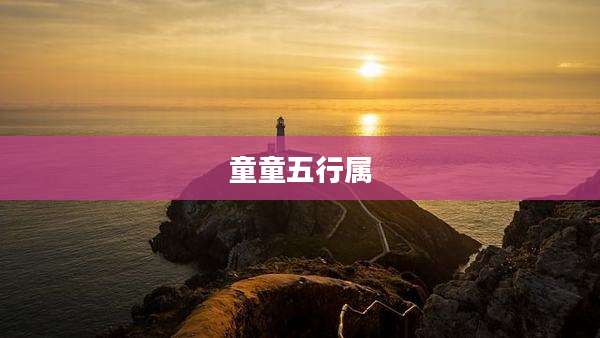 童童五行属