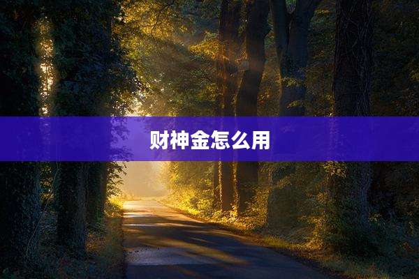 财神金怎么用