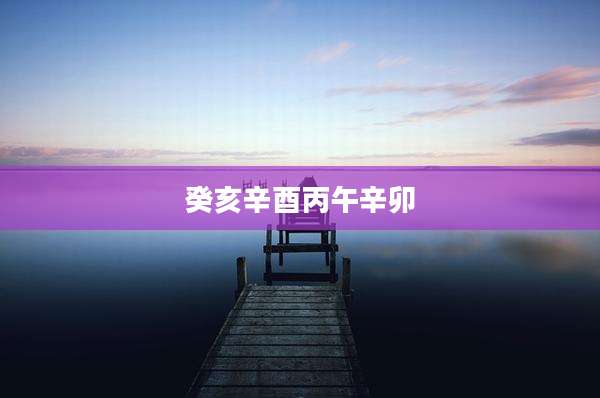癸亥辛酉丙午辛卯