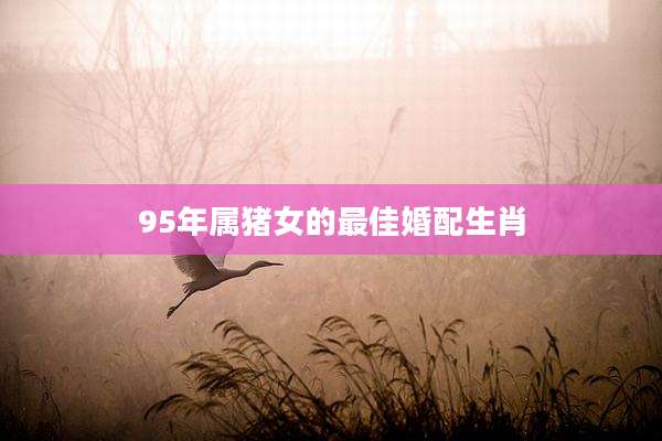 95年属猪女的最佳婚配生肖