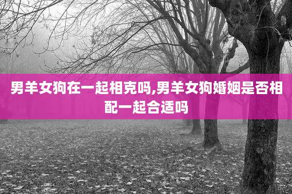 男羊女狗在一起相克吗,男羊女狗婚姻是否相配一起合适吗