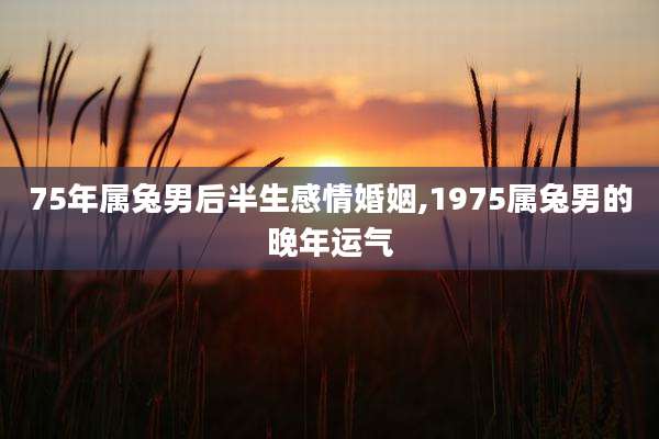 75年属兔男后半生感情婚姻,1975属兔男的晚年运气