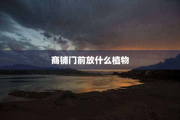 商铺门前放什么植物