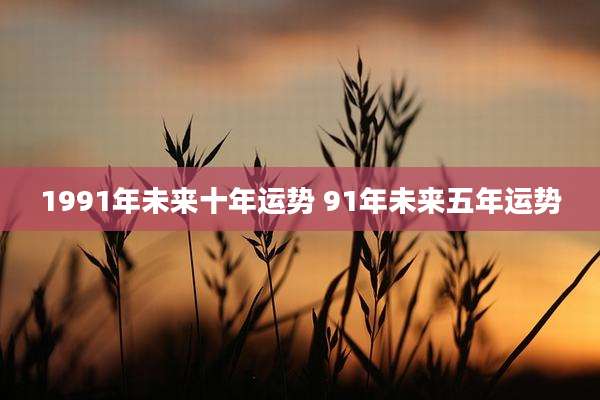 1991年未来十年运势 91年未来五年运势