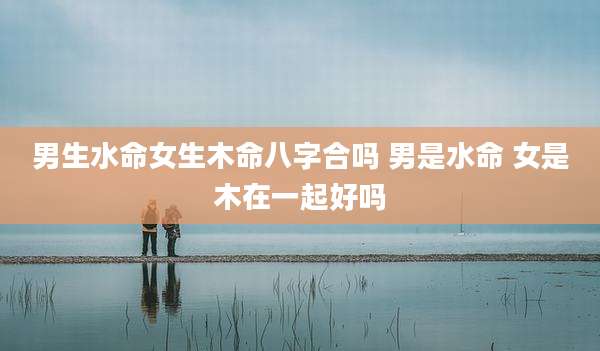 男生水命女生木命八字合吗 男是水命 女是木在一起好吗