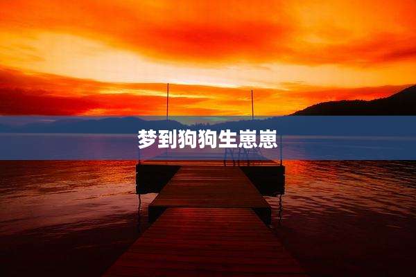 梦到狗狗生崽崽