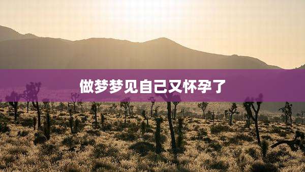 做梦梦见自己又怀孕了