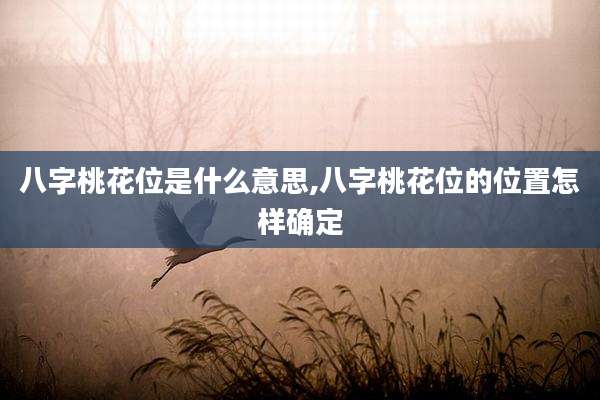 八字桃花位是什么意思,八字桃花位的位置怎样确定