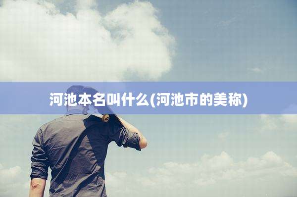 河池本名叫什么(河池市的美称)