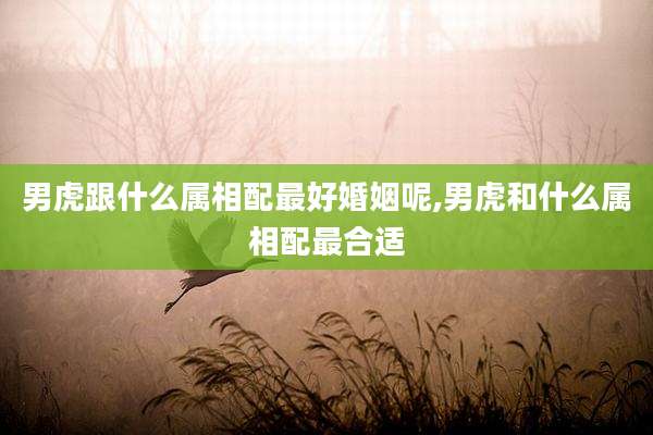 男虎跟什么属相配最好婚姻呢,男虎和什么属相配最合适
