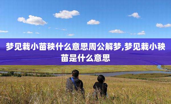 梦见栽小苗秧什么意思周公解梦,梦见栽小秧苗是什么意思