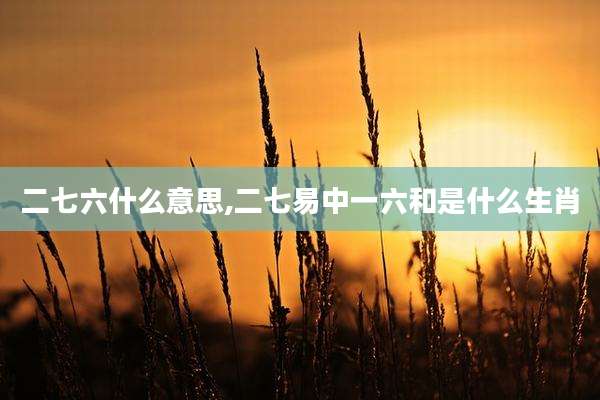 二七六什么意思,二七易中一六和是什么生肖