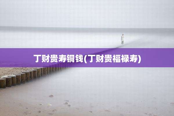 丁财贵寿铜钱(丁财贵福禄寿)