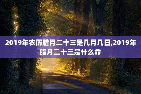 2019年农历腊月二十三是几月几日,2019年腊月二十三是什么命