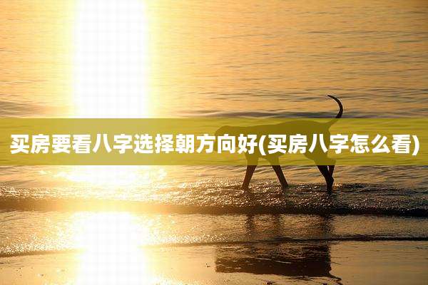 买房要看八字选择朝方向好(买房八字怎么看)