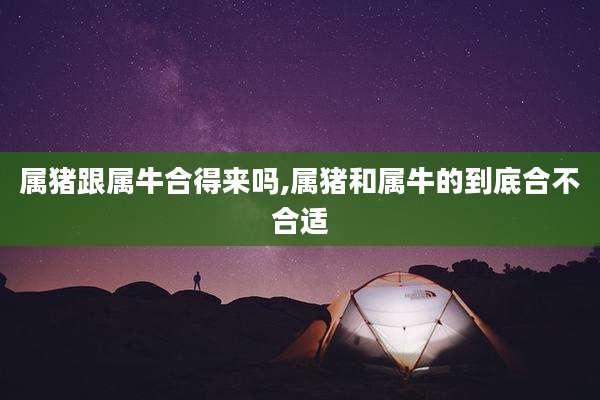 属猪跟属牛合得来吗,属猪和属牛的到底合不合适