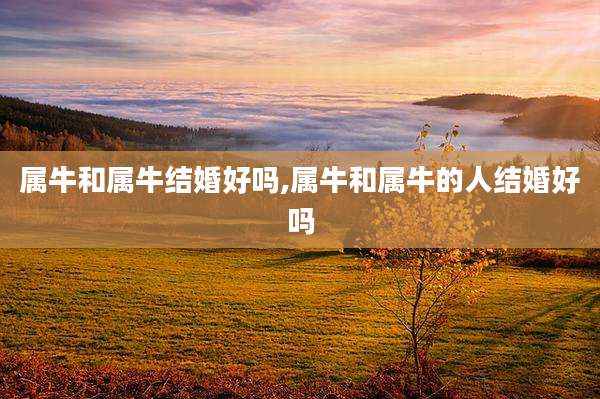 属牛和属牛结婚好吗,属牛和属牛的人结婚好吗