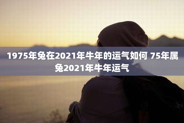 1975年兔在2021年牛年的运气如何 75年属兔2021年牛年运气