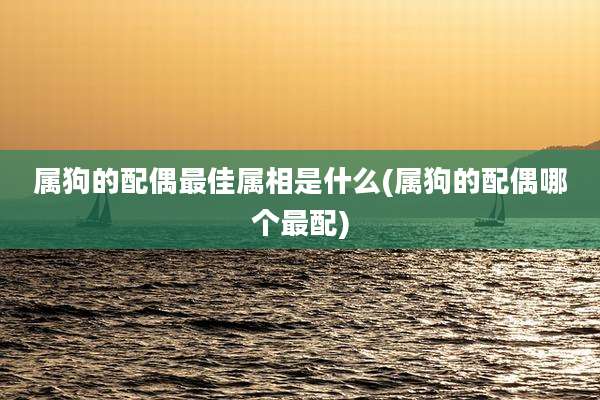 属狗的配偶最佳属相是什么(属狗的配偶哪个最配)