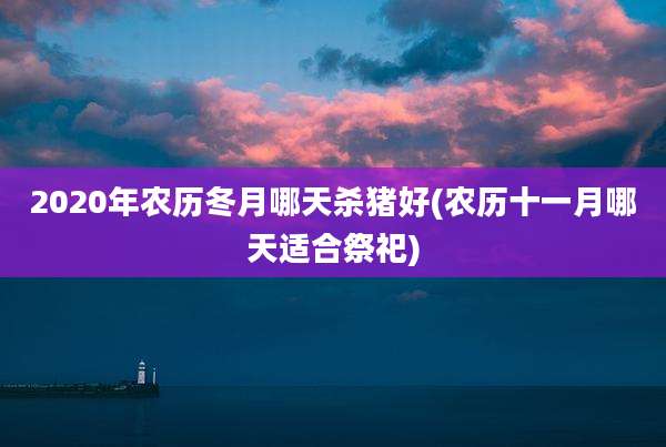 2020年农历冬月哪天杀猪好(农历十一月哪天适合祭祀)