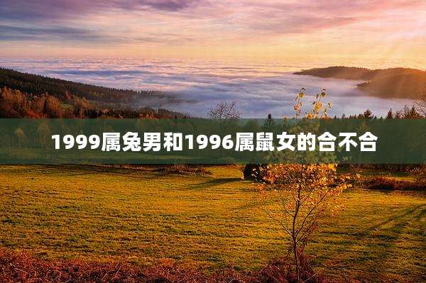 1999属兔男和1996属鼠女的合不合