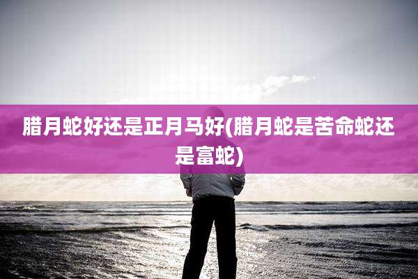 腊月蛇好还是正月马好(腊月蛇是苦命蛇还是富蛇)