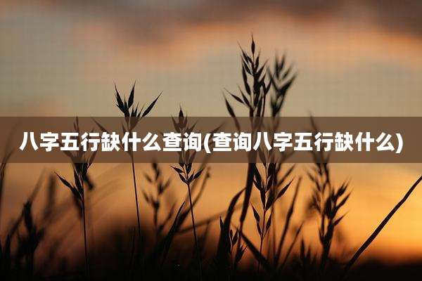 八字五行缺什么查询(查询八字五行缺什么)