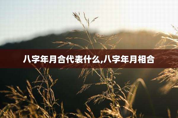 八字年月合代表什么,八字年月相合