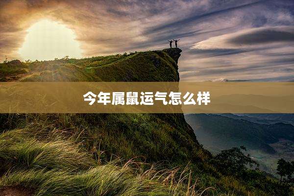 今年属鼠运气怎么样