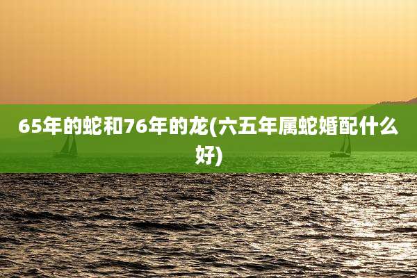 65年的蛇和76年的龙(六五年属蛇婚配什么好)