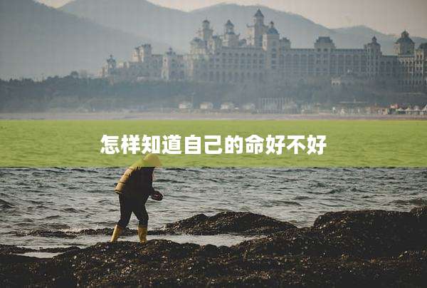 怎样知道自己的命好不好