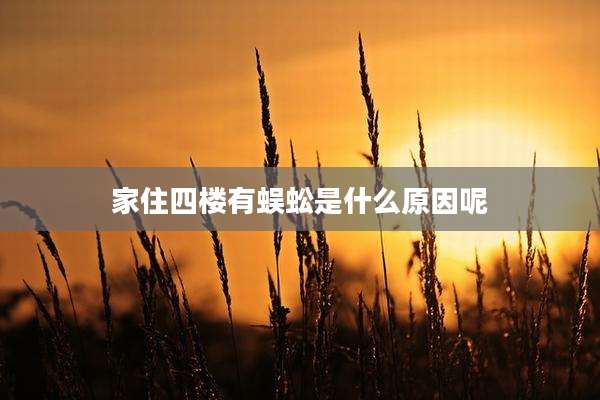 家住四楼有蜈蚣是什么原因呢