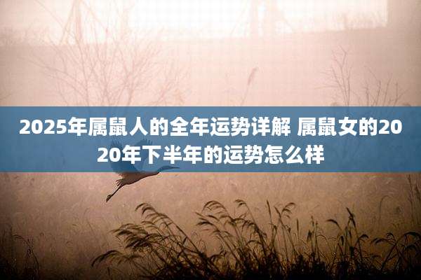2025年属鼠人的全年运势详解 属鼠女的2020年下半年的运势怎么样