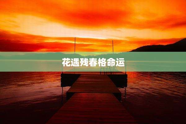 花遇残春格命运