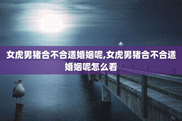 女虎男猪合不合适婚姻呢,女虎男猪合不合适婚姻呢怎么看