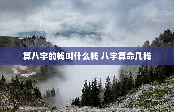 算八字的钱叫什么钱 八字算命几钱