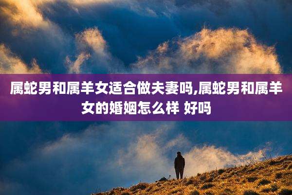 属蛇男和属羊女适合做夫妻吗,属蛇男和属羊女的婚姻怎么样 好吗