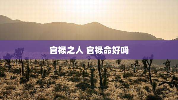 官禄之人 官禄命好吗