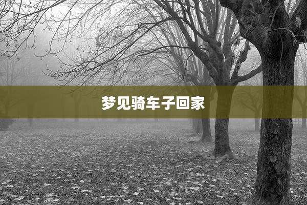 梦见骑车子回家