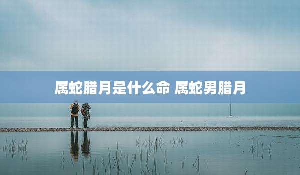 属蛇腊月是什么命 属蛇男腊月