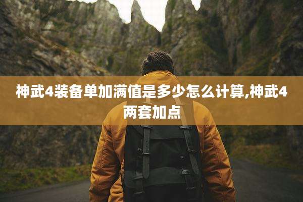神武4装备单加满值是多少怎么计算,神武4两套加点