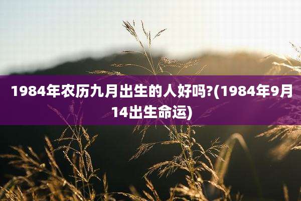 1984年农历九月出生的人好吗?(1984年9月14出生命运)
