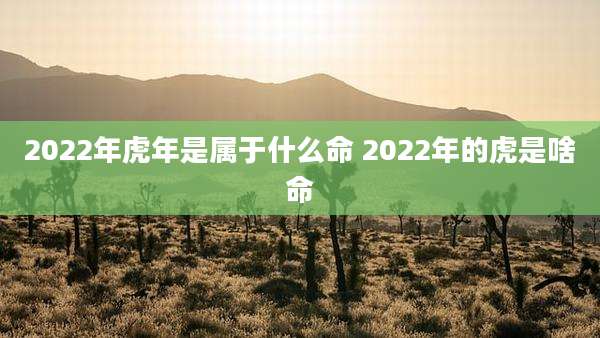 2022年虎年是属于什么命 2022年的虎是啥命