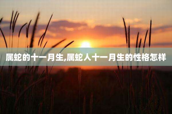 属蛇的十一月生,属蛇人十一月生的性格怎样