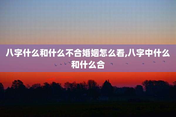 八字什么和什么不合婚姻怎么看,八字中什么和什么合